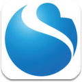 Shinsei